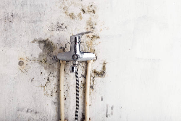 Best Affordable Mold Removal  in Kraemer, LA