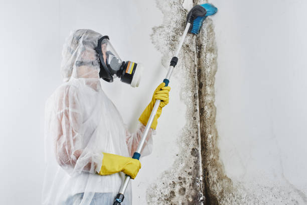 Best Mold Testing  in Kraemer, LA