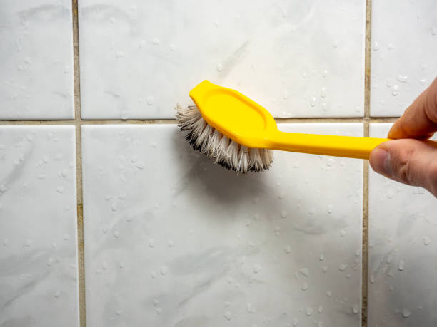 Best Mold Cleaning Services  in Kraemer, LA