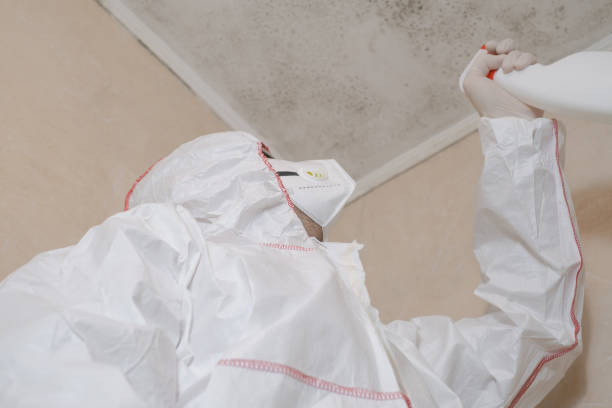 Best Black Mold Removal  in Kraemer, LA