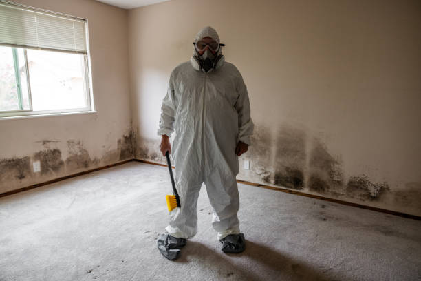 Best Commercial Mold Removal  in Kraemer, LA