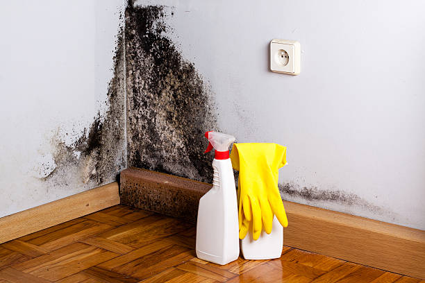 Best Mold Testing  in Kraemer, LA