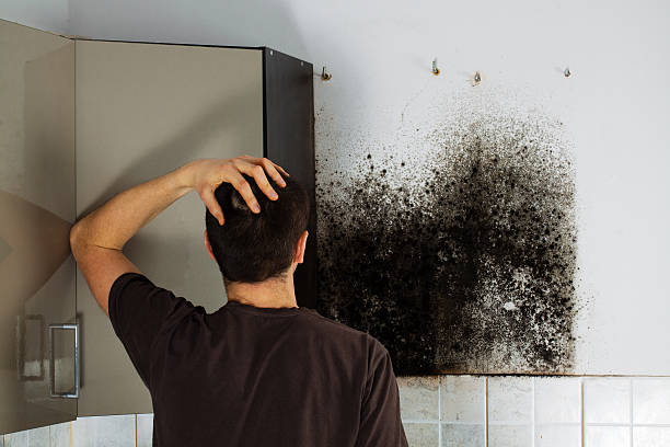 Best Toxic Mold Removal  in Kraemer, LA